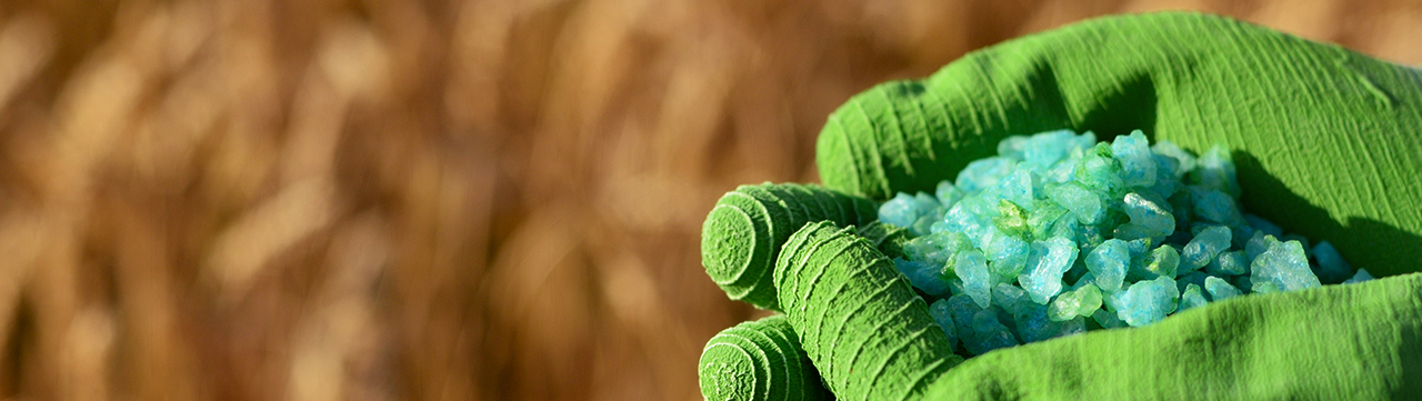 web_banner
