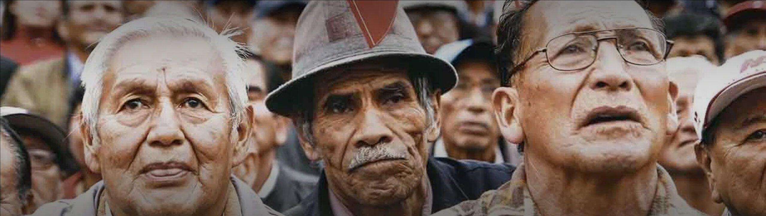 Banner web