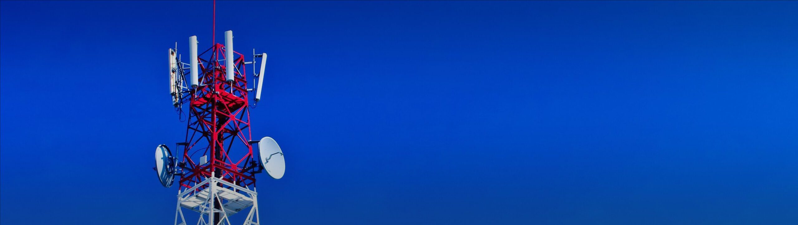 Banner web