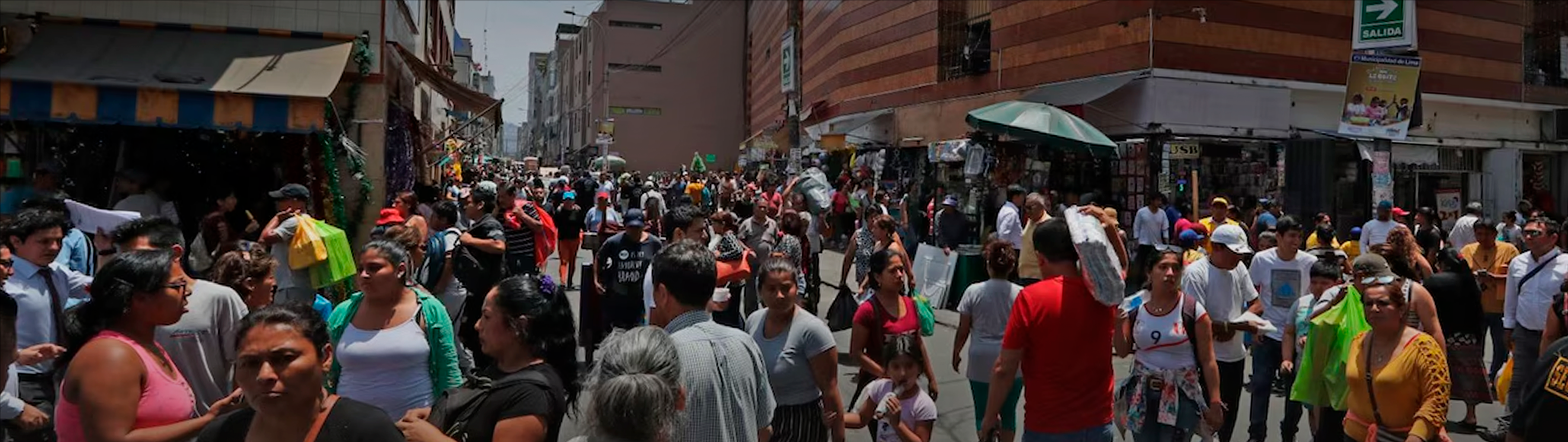 Banner web